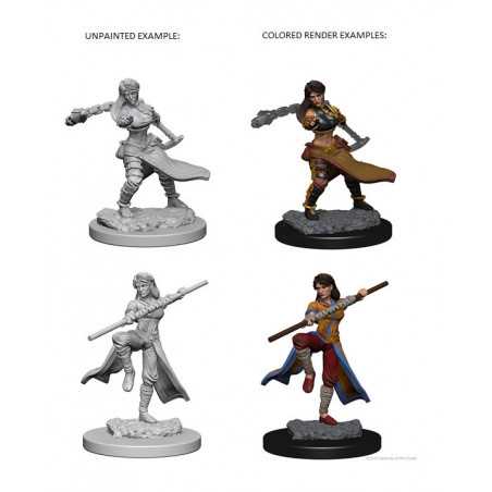 MINIATURAS D&D: HUMAN FEMALE MONK