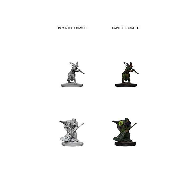 MINIATURAS D&D: ELF MALE DRUID