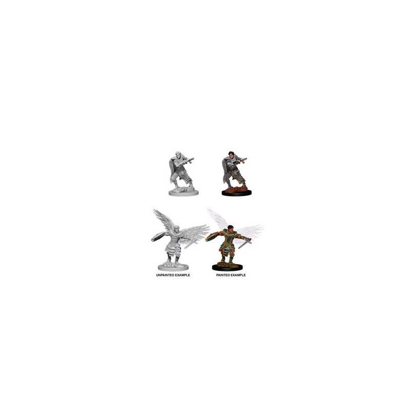 MINIATURAS D&D: MALE AASIMAR FIGTHER