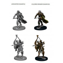 MINIATURAS D&D: MALE ELF FIGTHER