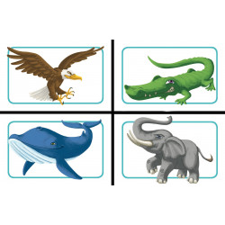 CONCEPT KIDS ANIMAL