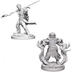 MINIATURAS D&D: HUMAN MALE DRUID 2