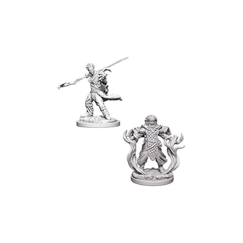 MINIATURAS D&D: HUMAN MALE DRUID 2