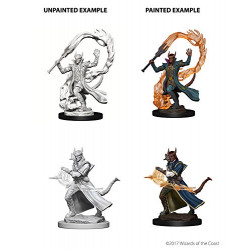 MINIATURAS D&D: TIEFLING MALE SORCERER