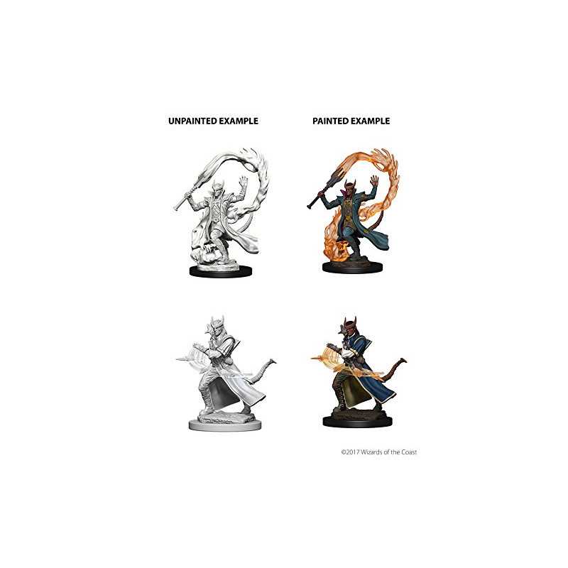 MINIATURAS D&D: TIEFLING MALE SORCERER