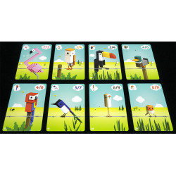 CUBIRDS