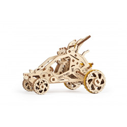BUGGY DEL DESIERTO